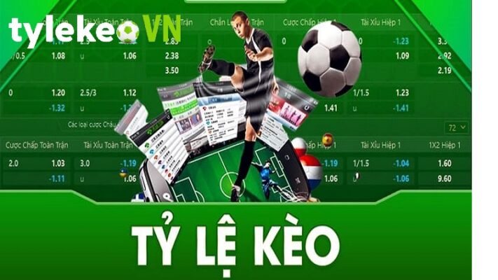 Cách đặt cược phù hợp