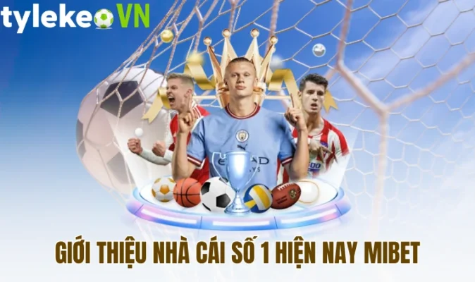 Giới thiệu nhà cái số 1 hiện nay Mibet