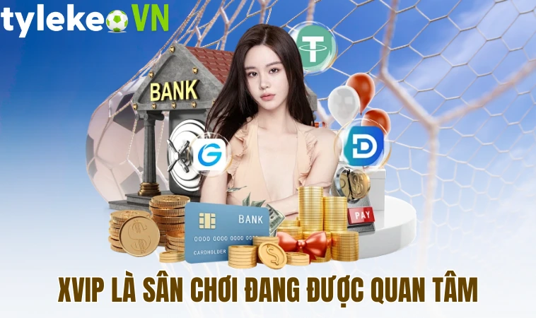 Xvip là sân chơi đang được quan tâm
