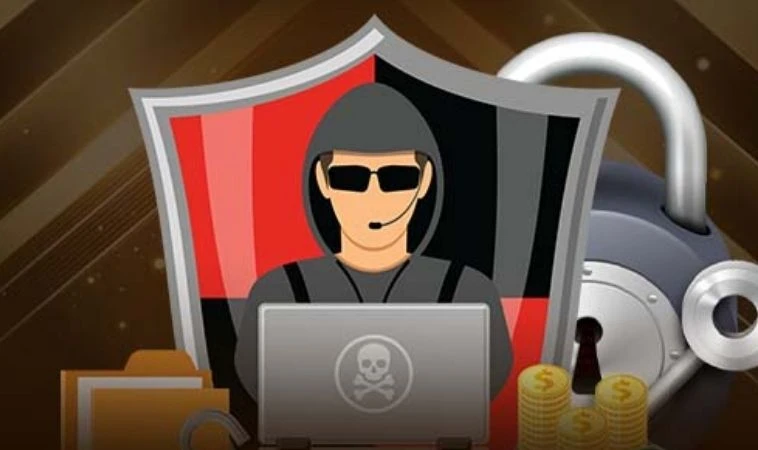 Quyền lợi của người dùng